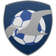 보스턴 셀틱스 엠블럼