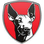 미네소타 팀버울브스 엠블럼