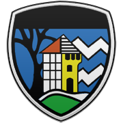 보스턴 셀틱스 엠블럼