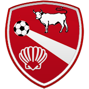 바이어 04 레버쿠젠 엠블럼