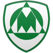 보스턴 셀틱스 엠블럼