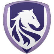 보스턴 셀틱스 엠블럼