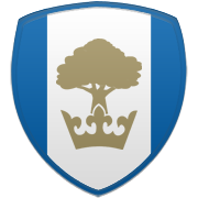 미네소타 팀버울브스 엠블럼