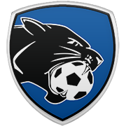 토론토 랩터스 엠블럼