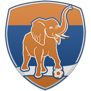 미네소타 팀버울브스 엠블럼